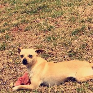 Meet your Posher, Jocelyn